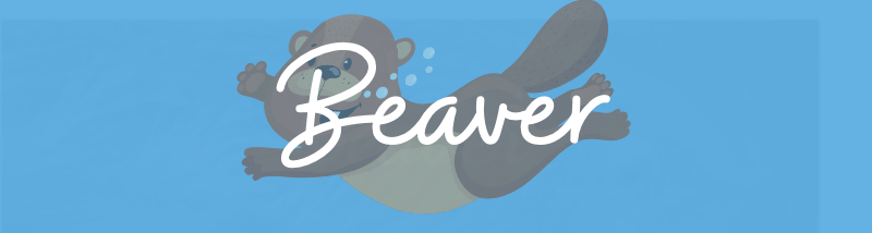 Beaver